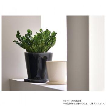 ミュールミル プランター ベラ 白 L 4セット CH-035Whの画像