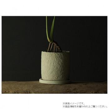 ミュールミル プランター パルマ シリンダー 白 L 4セット CX626LWhの画像