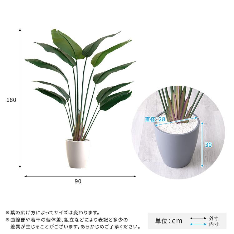 お手入れ簡単フェイクグリーン　ストレリチア　Lサイズ(180cm)_1