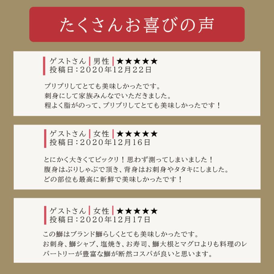 新品 本物 当店在庫だから安心 ぶり大根 早生鰤王 真空パック 1枚入 ブリ ぶり ギフト 日本一 照り焼き 鰤王醤油付きセット 国産 約1 0 1 2kg ブリ冷凍 刺身 夏季限定の脂がのった 早生鰤王フィレ ブリ茶漬け 鹿児島県 ぶりしゃぶ 鮮魚 鰤王 鰤 プレゼント ブリ