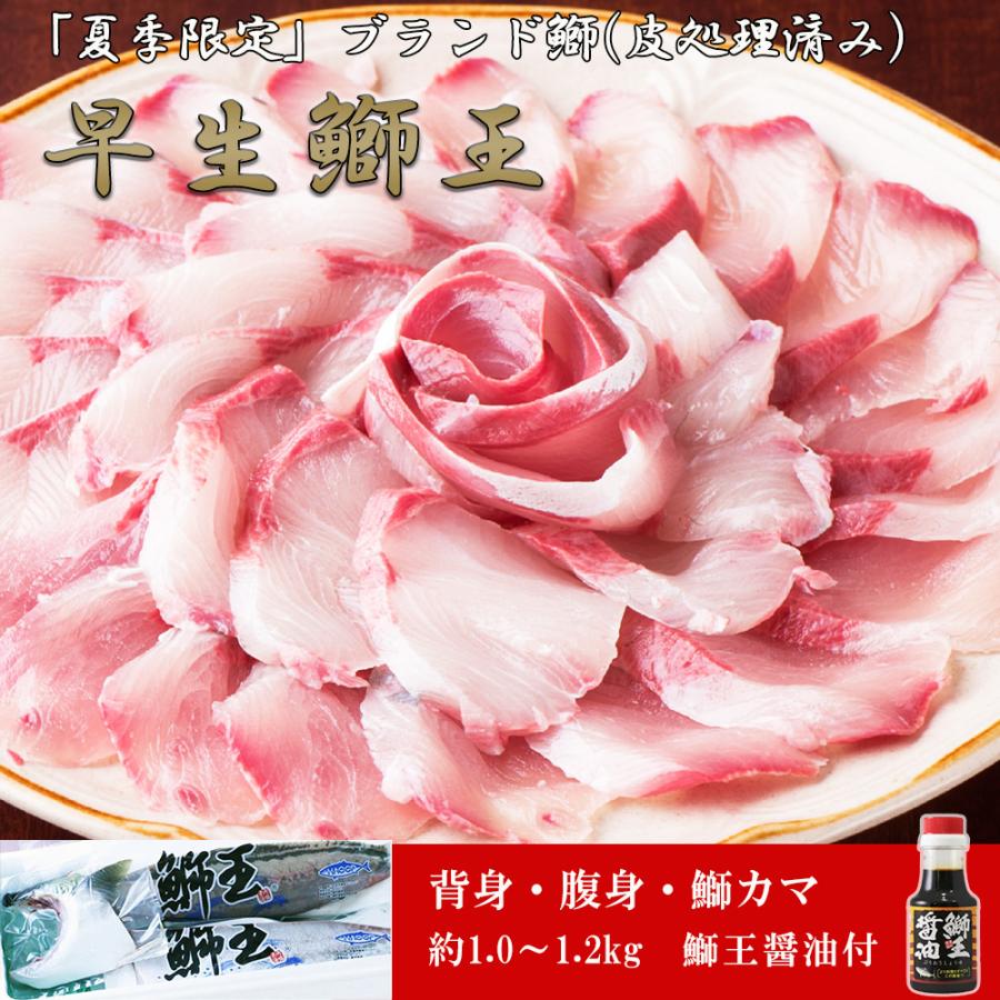 新品 豪華 社交ダンス スカート 紺 ネイビー パーティ クイック 4784