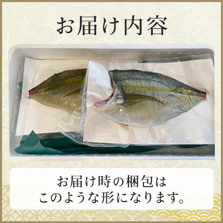 40円 激安先着 シマアジフィレ 2枚入り500g 鰤王 日本一 国産 鹿児島県 刺身 高品質 あじ アジ シマアジ 産地直送 真空パック 安心 新鮮 お中元 お歳暮