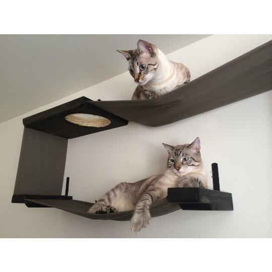 キャットタワー アメリカCatastrophic Creations 壁取り付け用キャット