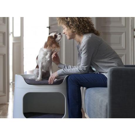 ペットベッド プラスチック ベッド Curver Pet Life Style カーバー