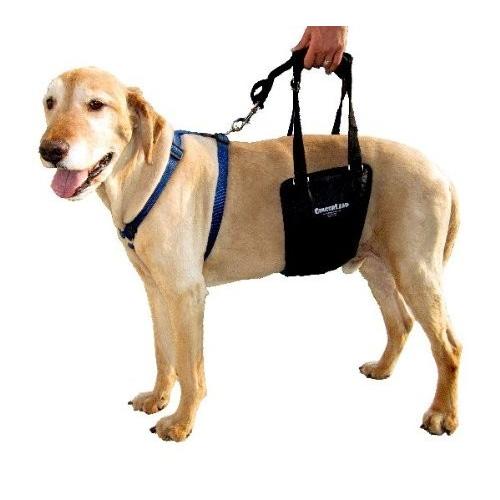 歩行補助ハーネス 犬 GINGERLEAD アメリカジンジャーリード製 介護用ハーネス ジンジャーリード M-L 男の子用