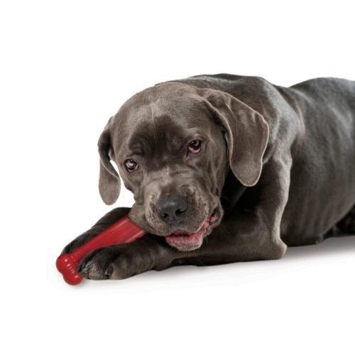 犬おもちゃ アメリカRuffdawg USA製のおもちゃ ラフボーンL ミント味 |  | 02