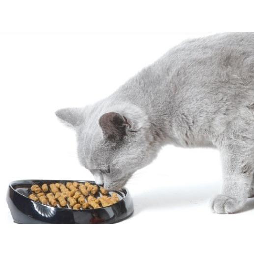 フードボウル SAVIC ベルギーサヴィッチ社製 猫ちゃん用早食い防止フードボウル ウィスカー2 早食い 防止 皿 陶器 | SAVIC