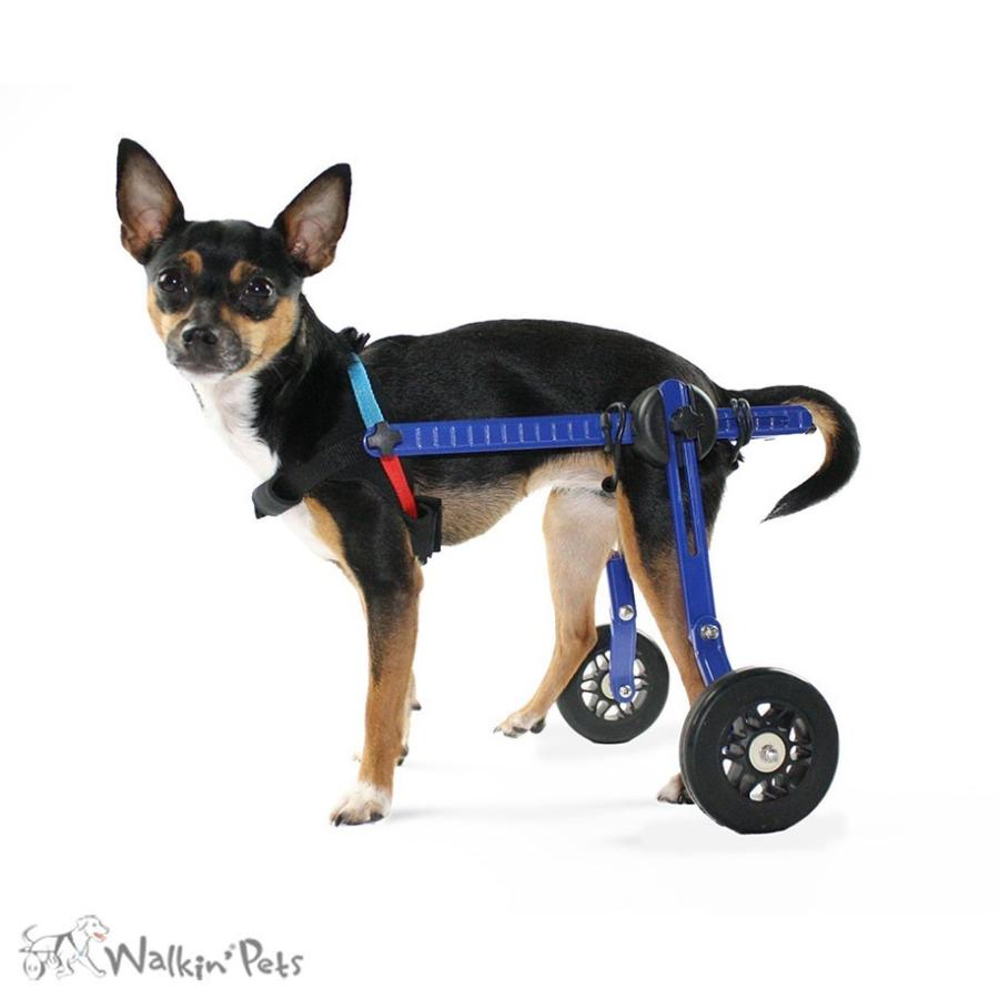 犬用車いす Walkin Wheels ウォーキンホイールズドッグホイールチェア