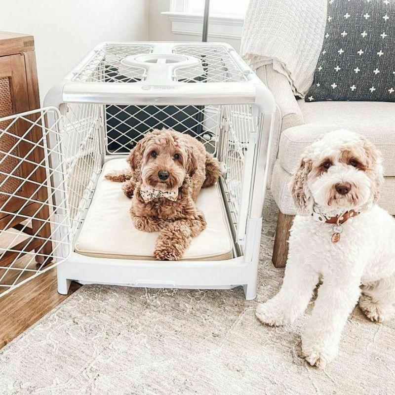 犬用ケージ アメリカDIGGS PET 折りたたみ犬用ケージ レボルクレートS 