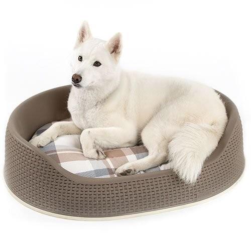Curver Pet Life Style ペットベッド ペットベッド Curver Pet Life Style レストベッドL モカ : 海外ペット