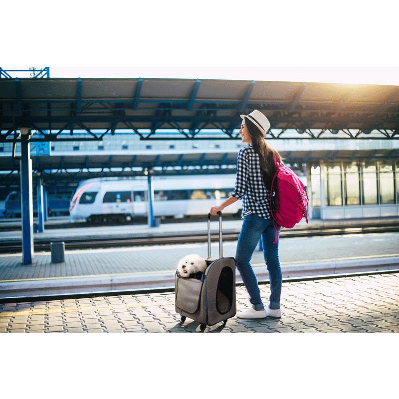 ペットカート 台湾イビヤヤ ibiyaya NEWリーソバックパックパラレルトランスポートペットトロリーキャリア 