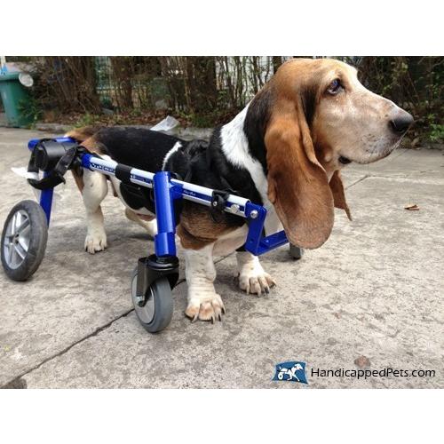 Walkin' Wheels 折りたたみ式犬用車いす Amazon.co.jp: Walkin' Wheels 小型犬用車椅子、後脚用軽量犬用