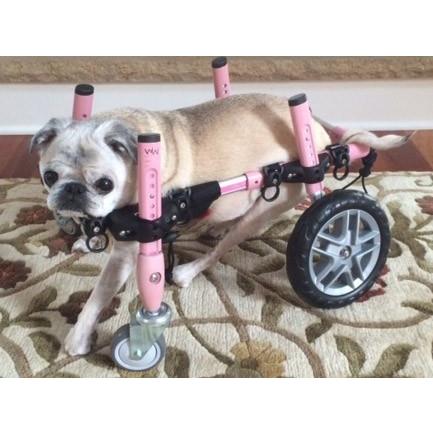 犬用車いす Walkin Wheels ウォーキンホイールズドッグホイールチェア