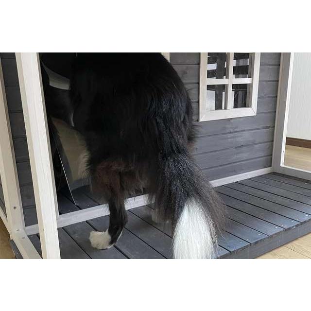 幅130センチ 人気 おしゃれ 超大型犬用犬小屋 ニューホームタウン