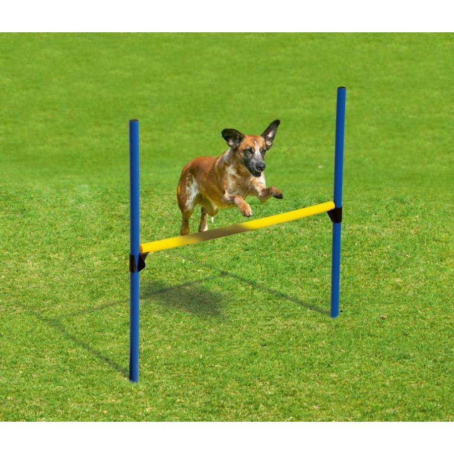 競技用 アジリティグッズ ドイツ Karlie ドッグアジリティ ファンアジリティスターターセット Kar 海外ペット用品 Hangon ヤフー店 通販 Yahoo ショッピング