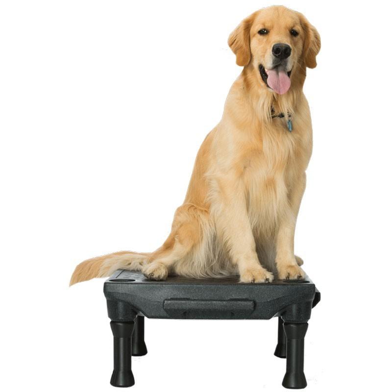 犬用競技用 アジリティ用品 FitPAWS KLIMB ブルー 競技用、アジリティ用品