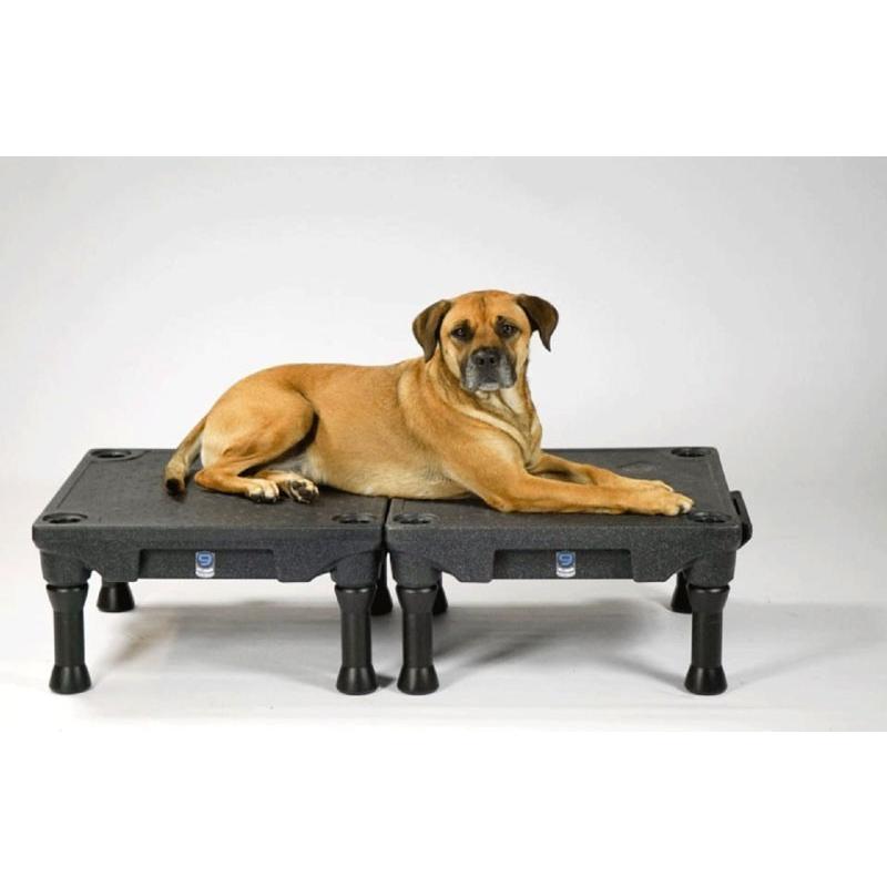 犬用競技用 アジリティ用品 FitPAWS KLIMB ブルー 競技用、アジリティ用品