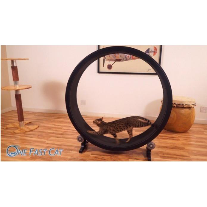 猫ちゃん用エクササイズ One Fast Cat キャットエクササイズホイール 