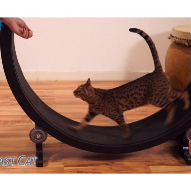 [定価5万円]猫ちゃん用エクササイズ One Fast Cat キャットエクササイズホイール レオパード 猫ちゃん用エクササイズ One Fast Cat キャットエクササイズホイール
