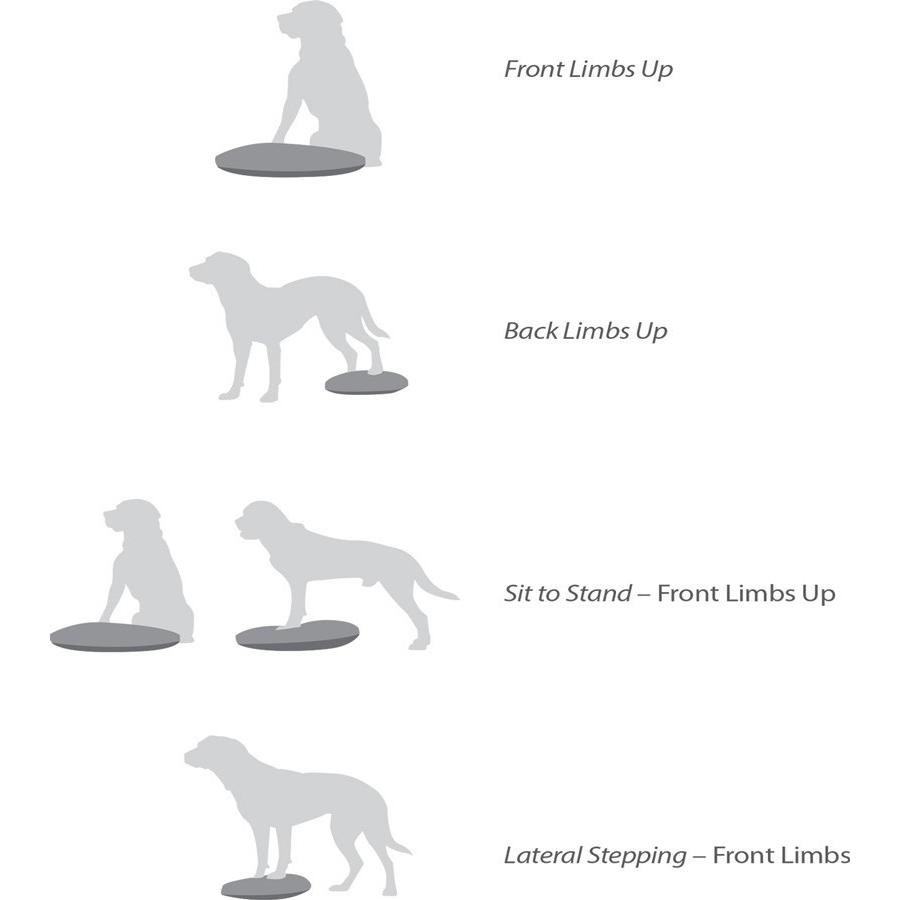 犬用競技用 アジリティ用品 アメリカFitPAWS バランスディスク35.5cm