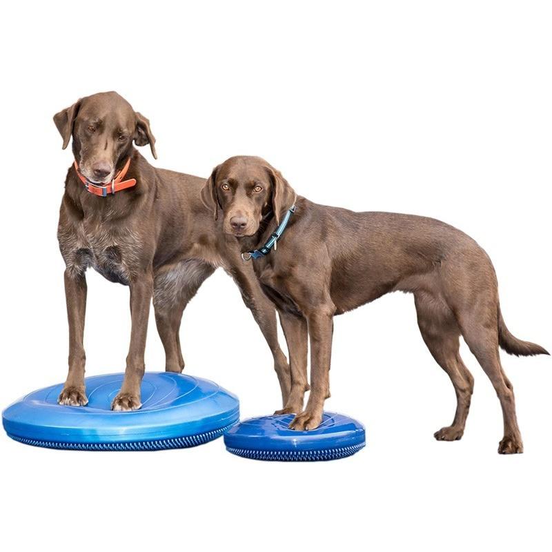 犬用競技用 アジリティ用品 FitPAWS バランスディスク55.8cm ブルー 