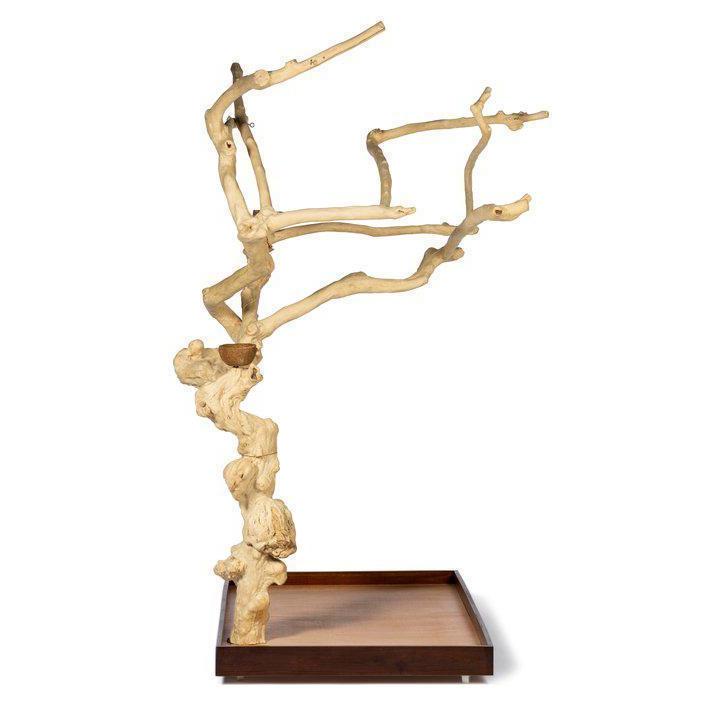 【値下げ・名盤】 鳥かご アメリカプレビューペット PrevuePet コフィウッドツリースタイル1フロアスタンドL 22615 【OCQ2096179156】(74022円)