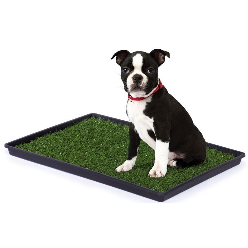 トイレトレー 犬 アメリカ プレビューペット PrevuePet 人工芝付犬用トイレトレー ティンクルターフ 502 |  | 01
