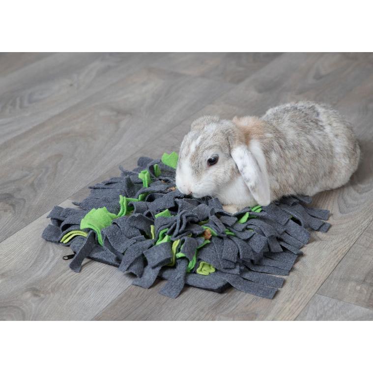 うさぎ用知育玩具 ドイツtrixie ラビットスニッフカーペット Tr 海外ペット用品 Hangon ヤフー店 通販 Yahoo ショッピング