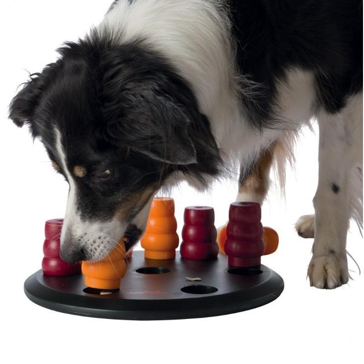 犬おもちゃ ドイツTRIXIE ペット用知育玩具 犬おもちゃ ドッグアクティビティ ソリティアリング | TRIXIE | 01