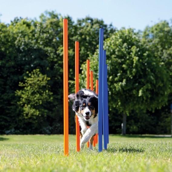 TRIXIE（トリクシー） アジリティグッズ ドイツTRIXIE ドッグラン 屋外