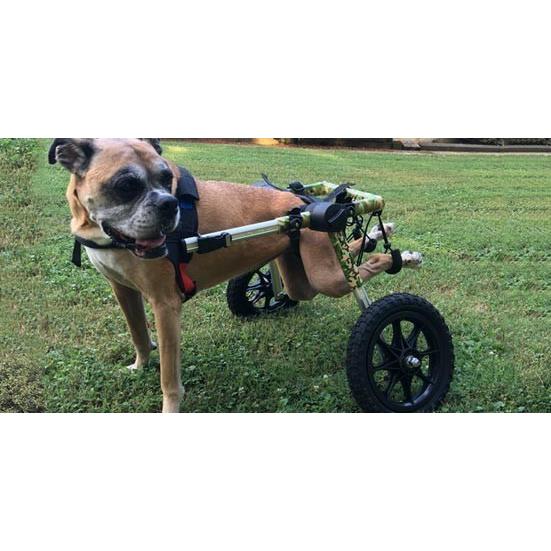 【新品 未使用 日本製】 犬用車いす Walkin Wheels ウォーキンホイールズドッグホイールチェア Mサイズブルー Wheel Kit 12インチ strut 8インチ wheel 【KUE1625299382】(57394円)