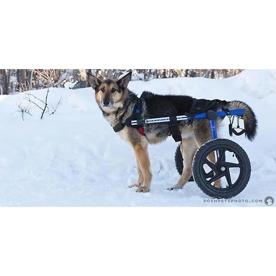犬用車いす Walkin Wheels ウォーキンホイールズドッグホイールチェア
