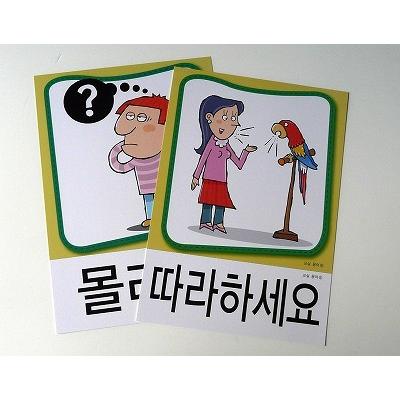 韓国語教材 楽しい韓国語授業のためのソクソク韓国語カード（592枚