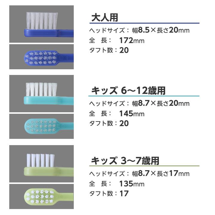 鮫　歯　（専用） おでかけ子ザメ 歯ブラシ 20本 2カラー×各10本 大人用／キッズ 3〜7歳