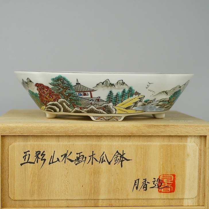 月香 箱付 五彩 山水画 木瓜鉢 観賞用 盆栽鉢 現品 新品