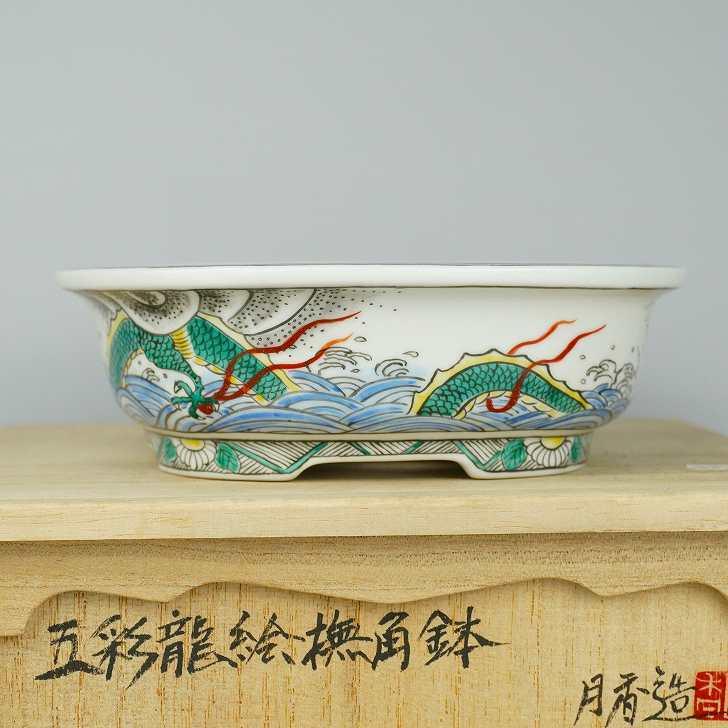 ミニ盆栽鉢 龍 未使用 共箱 箱書有 共布有 高さ約5CM 【公式通販】