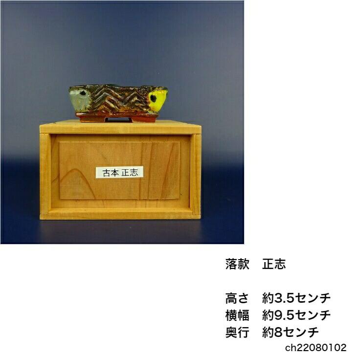 盆栽鉢 正志 古本正志 切足 長方鉢 蟹 釉薬 観賞用 現品 新品 : はニわ