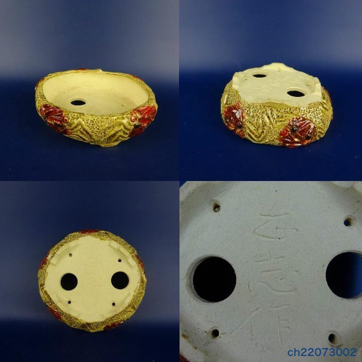 盆栽鉢 正志 古本正志 段足 丸鉢 蟹 黄釉 観賞用 現品 新品 : はニわ