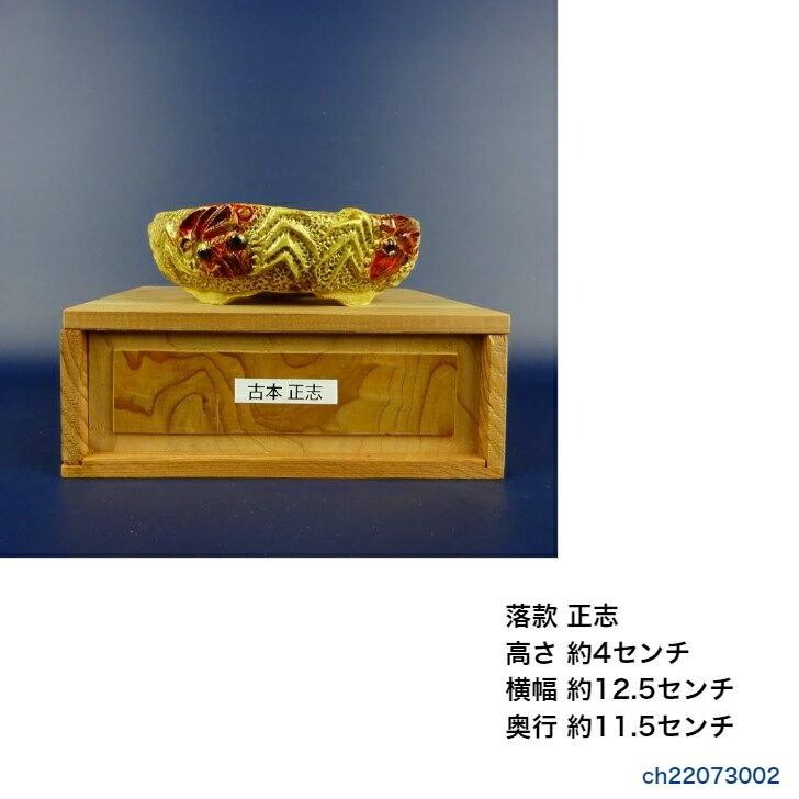 盆栽鉢 正志 古本正志 段足 丸鉢 蟹 黄釉 観賞用 現品 新品 : はニわ
