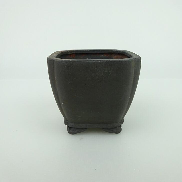 盆栽鉢 青香 小鉢 長辺 約6.5cm 正方鉢 隅入 雲足 下帯 泥物 現品 : は