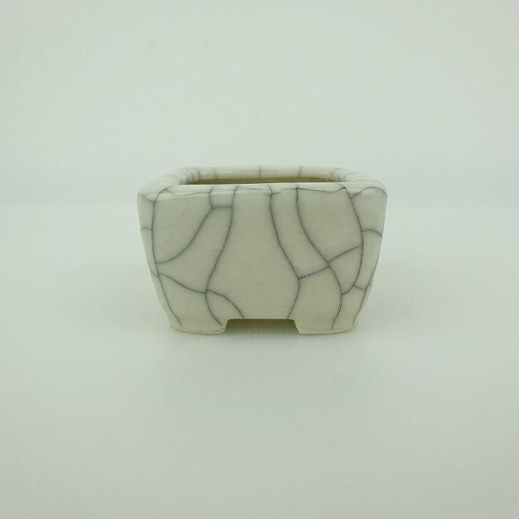 盆栽鉢 青香 豆鉢 長辺 約4.5cm 正方鉢 貫入 釉薬 現品 : はニわ株式