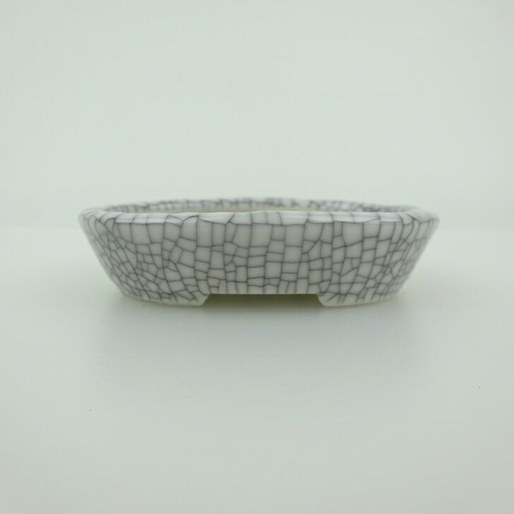 盆栽鉢 青香 小鉢 長辺 約8.4cm 楕円鉢 釉薬 現品 鉢 楽天市場】盆栽鉢