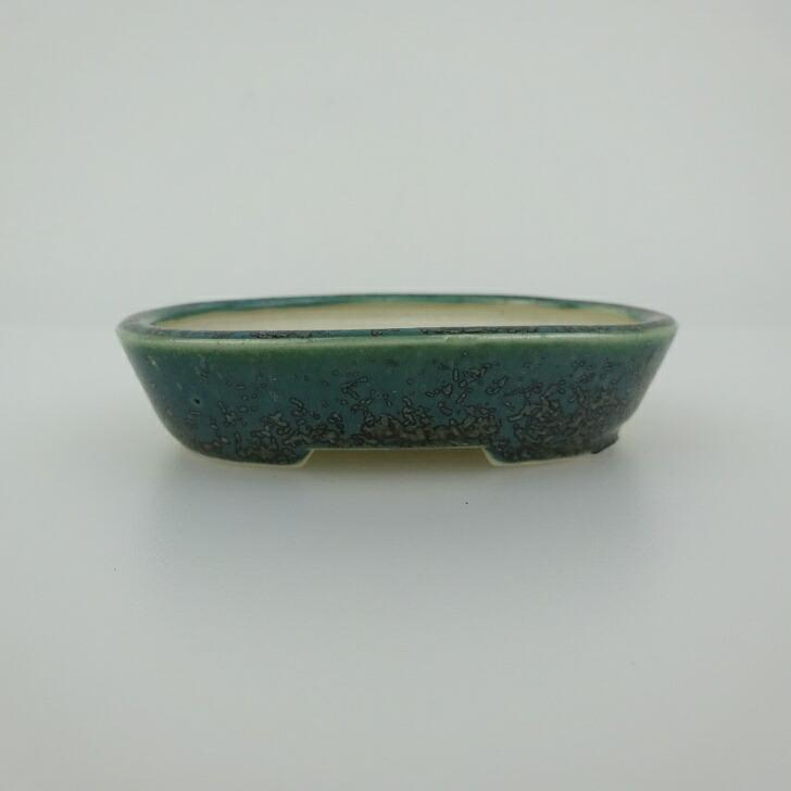 盆栽鉢 青香 小鉢 長辺 約9.3cm 長方鉢 釉薬 現品 楽天市場】盆栽鉢 青