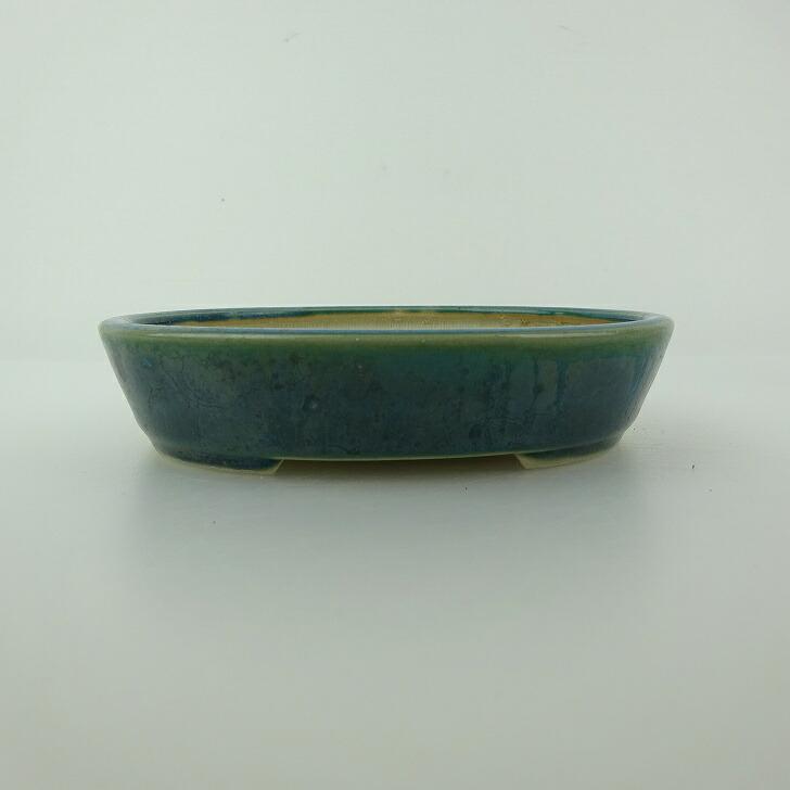 盆栽鉢 青香 小型 長辺 約14.5cm 楕円鉢 釉薬 現品 盆栽鉢