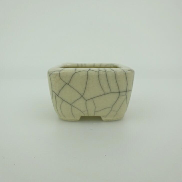 盆栽鉢 青香 豆鉢 長辺 約4.6cm 正方鉢 貫入 釉薬 現品 : はニわ株式