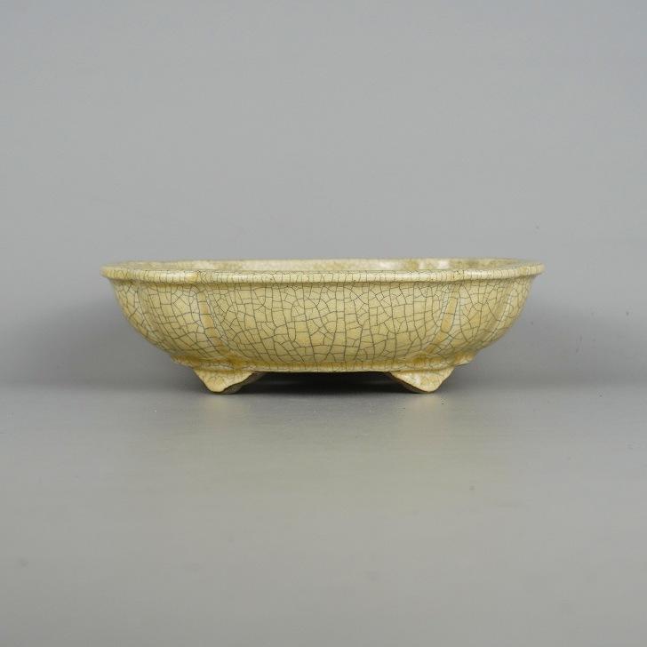 盆栽鉢 真山 寺畑陶園 中型 長辺 約20.5cm 木瓜鉢 釉薬 現品
