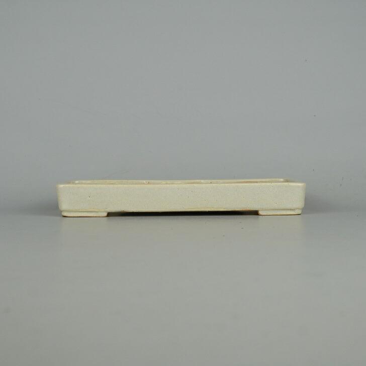 盆栽鉢 常滑 柴勝 小型 長辺 約18.7cm 長方鉢 釉薬 現品 新品 : はニわ