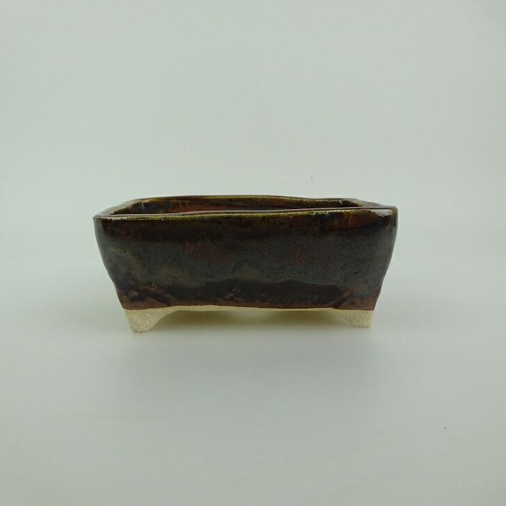 祥石 祥石(ゆうき) 14.5cm 【現品】 | 盆栽鉢・水盤,現代小鉢,祥石