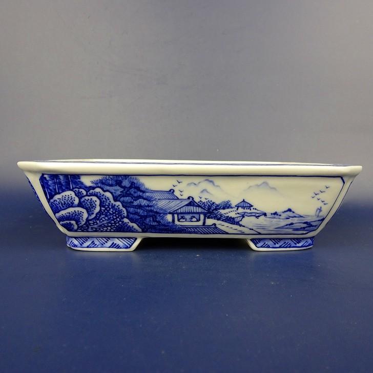 三河盆栽　月香　蘭鉢 三河盆栽 月香 蘭鉢 盆栽鉢 月香 小型 長辺 約15cm 長