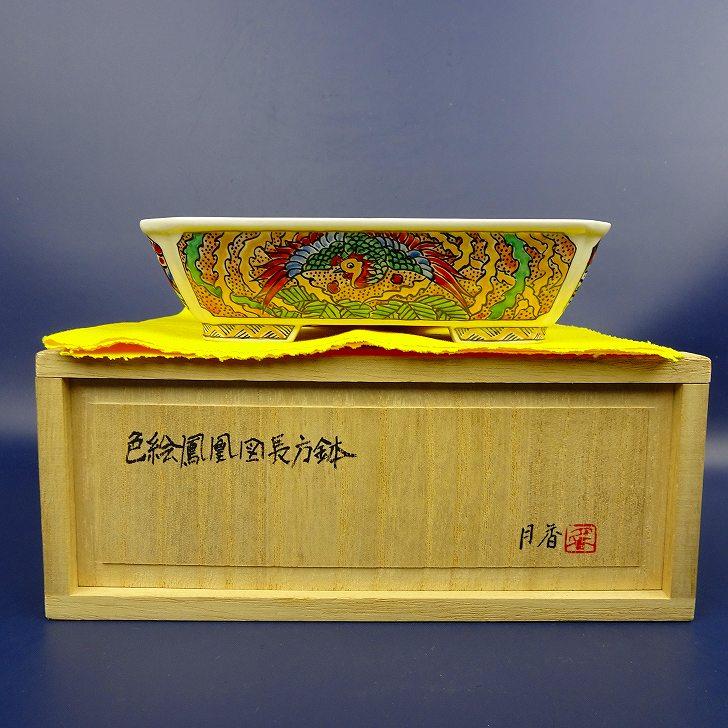 盆栽鉢 月香 小型 長辺 約15cm 長方鉢 外縁 色絵 鳳凰 共布 共箱 観賞 